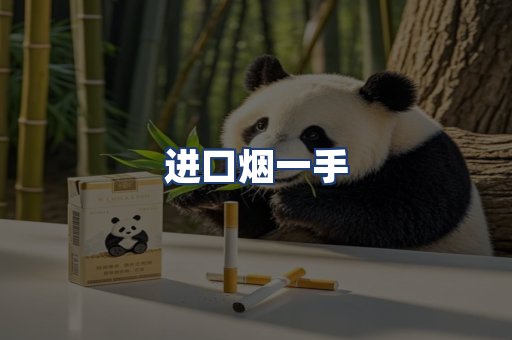 进口烟一手